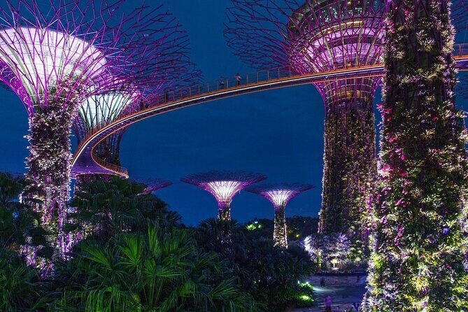 Singapore by Night Top Senic Sightseeing Private Tour - A well-timed night loop that saves you planning stress