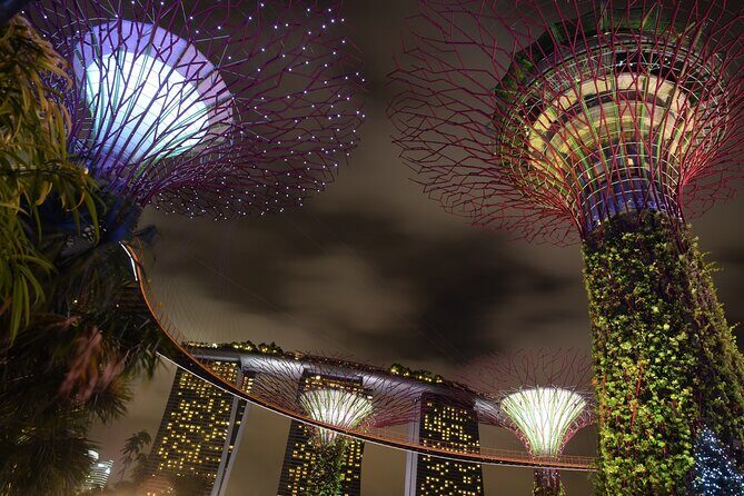 Singapore by Night Top Senic Sightseeing Private Tour - Price and value: when $185.09 makes sense