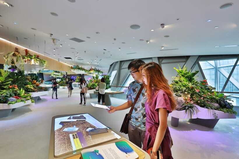 Singapore: Changi Experience Studio Ticket at Changi Airport - Jewel Changi Rain Vortex in VR: Seeing Singapore’s Icon Without the Crowds