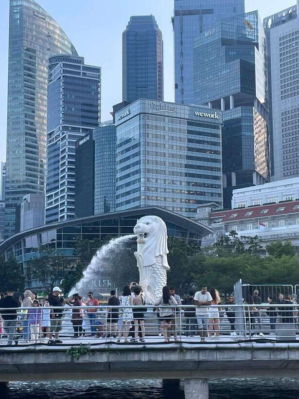 Singapore: City Tour & Jurassic World at Gardens by the Bay - A 3-hour Singapore hit list that still feels meaningful