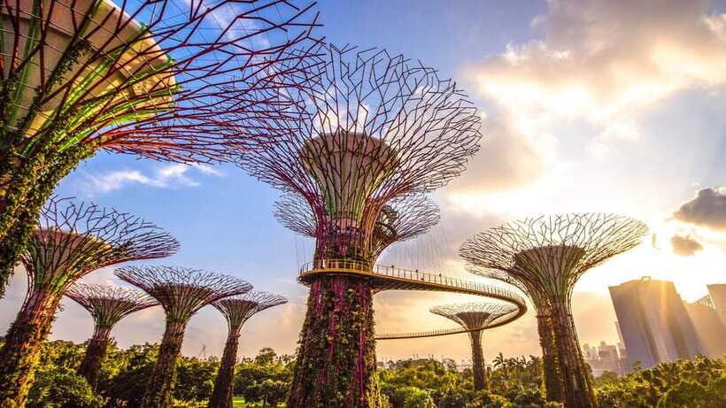 Singapore: City Tour & Jurassic World at Gardens by the Bay - Cloud Forest at Gardens by the Bay: indoor wonder with real horticulture