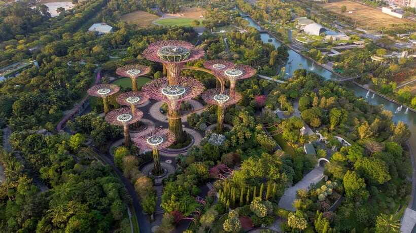 Singapore: Day Tour for Sentosa, Gardens by the Bay, Flyer - Gardens by the Bay: Supertrees, Flower Dome, and Cloud Forest Timing