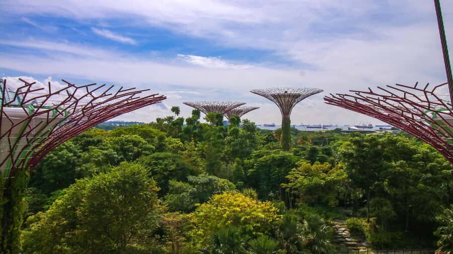 Singapore: Disney Garden of Wonder at Floral Fantasy - Flower Dome seasonal displays for 2025: plan your day by the month