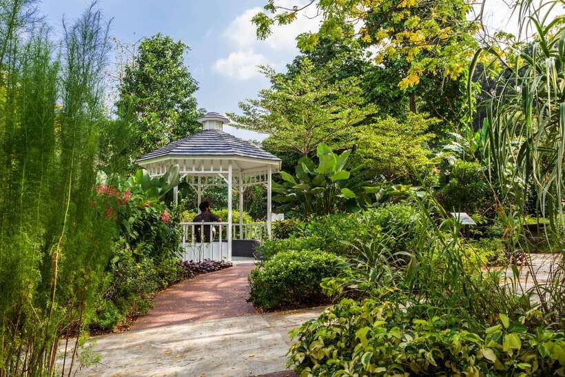 Singapore: Faber Peak Guided Walking Tour with Breakfast - The forest-to-views rhythm toward Sentosa