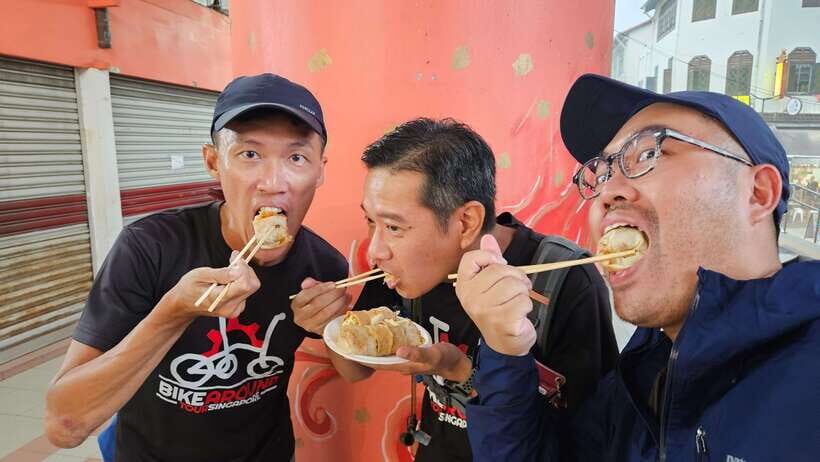 Singapore: Food and Bike Tour - Downtown - Downtown Singapore by bike: what you get in 4 hours