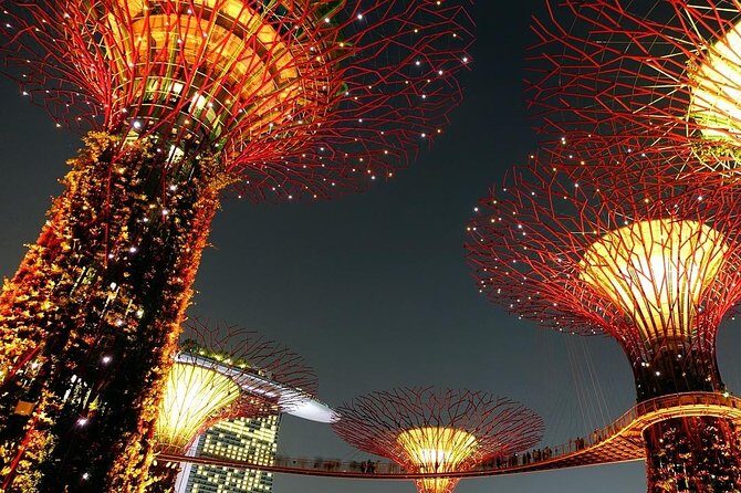 Singapore: Gardens by the Bay Admission E-Ticket - Why This Gardens by the Bay Ticket Feels Like Good Planning