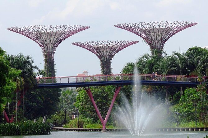 Singapore: Gardens by the Bay Admission E-Ticket - Cloud Forest: Tall, Airy Indoor Drama