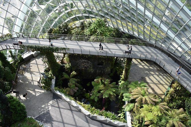 Singapore: Gardens by the Bay Admission E-Ticket - Supertree Grove and Supertree Observatory: The View Layer You’ll Remember
