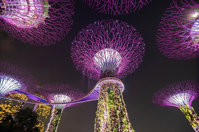 Singapore Gardens by the Bay Admission Skip-The-Line E-Ticket - The Real Value Question: What You’re Actually Paying For