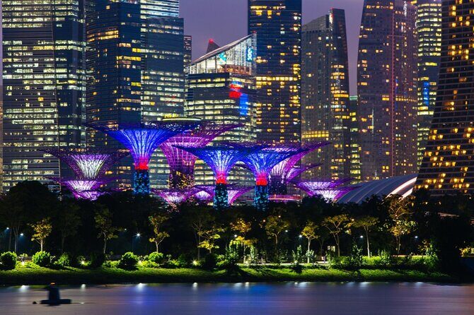 Singapore Gardens by the Bay Admission Skip-The-Line E-Ticket - Timing for a Smooth Full-Day Circuit
