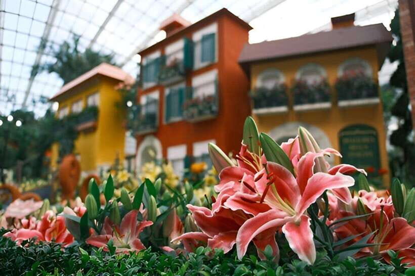 Singapore: Gardens by the Bay Bundle Entry Ticket - Price, Value, and What $7 Buys You Here