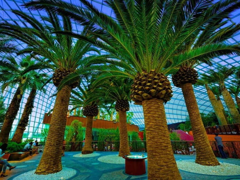 Singapore: Gardens by the Bay & Jurassic World with Pickup - Key things to know before you go