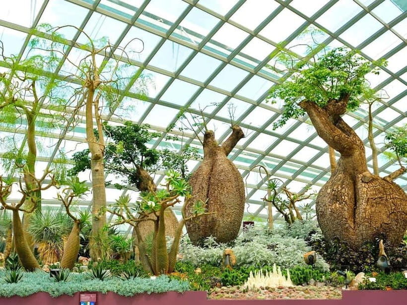 Singapore: Gardens by the Bay & Jurassic World with Pickup - Should you book this Gardens by the Bay and Jurassic World tour?