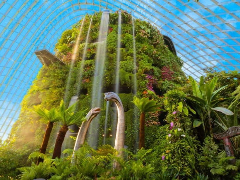 Singapore: Gardens by the Bay & Jurassic World with Pickup - Flower Dome: Mediterranean plants and a Flower Field that changes