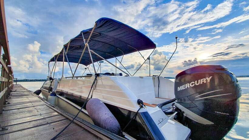 Singapore: Guided Boat Tour and Kelong Fish Farm Visit - Key highlights worth your time