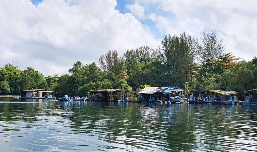 Singapore: Guided Boat Tour and Kelong Fish Farm Visit - Pulau Ubin from the water: the inhabited island that feels off-grid