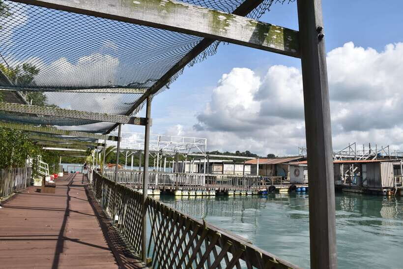 Singapore: Guided Boat Tour and Kelong Fish Farm Visit - The kelong-restaurant stop: floating fish farming in real life