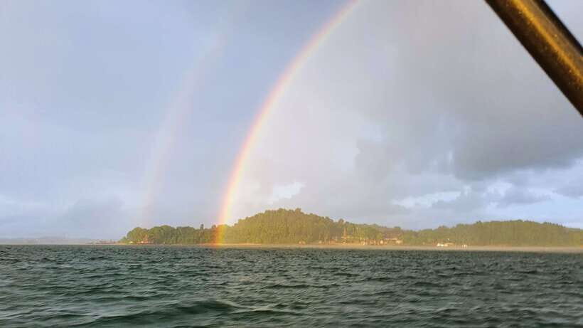 Singapore: Guided Boat Tour and Kelong Fish Farm Visit - Price and value: does $225 make sense for a 3-hour boat tour?