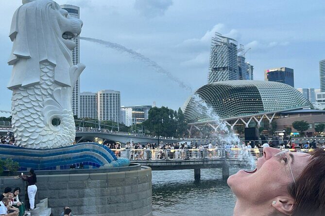 Singapore Guided Night Tour with 2 Light Shows & River Cruise - Price and Logistics: What You’re Actually Paying For