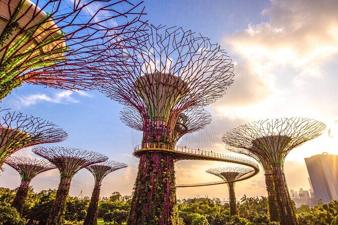 Singapore Half Day City Tour w Skypark and Gardens By The Bay - Key things to know before you go