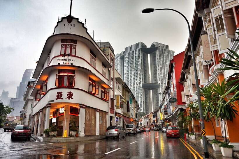Singapore: Highlights and Hidden Gems Private Car Tour - Arts, museums, and Esplanade: National Museum to Kreta Ayer