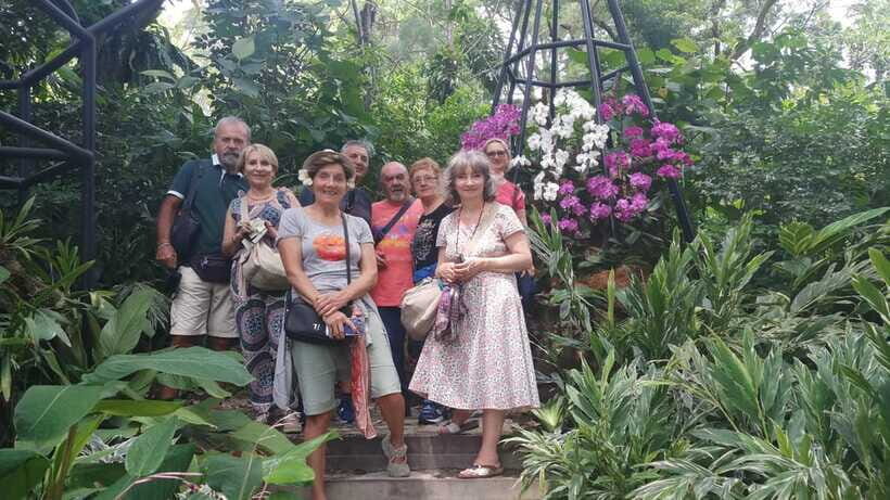 Singapore: Highlights & Hidden Gems Walking Tour - What “private or small group” means in real life