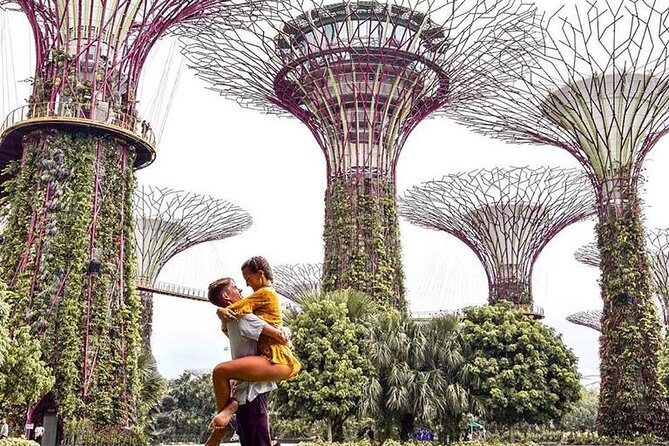Singapore Instagram Tour By Car (Private & All-Inclusive) - Zoo, aquarium resort, Universal, and Sentosa: the big fun cluster