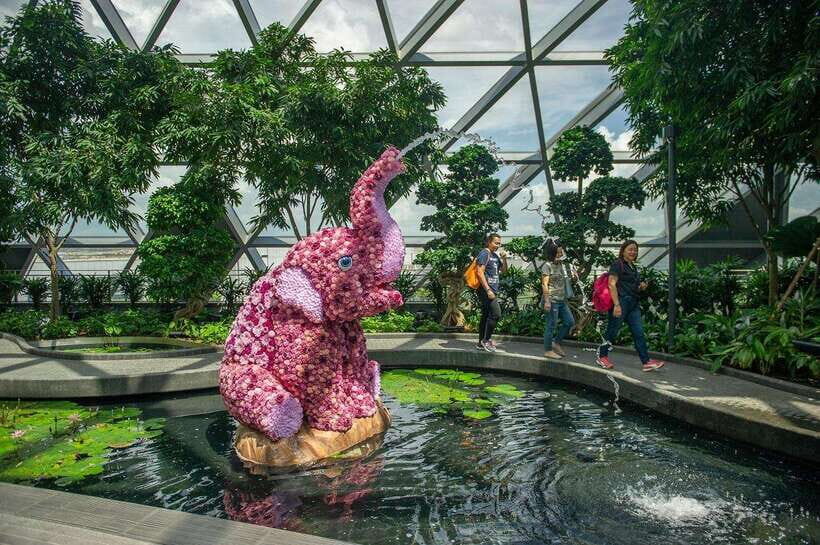 Singapore: Jewel Changi Airport Attraction Ticket - Key things to know before you go