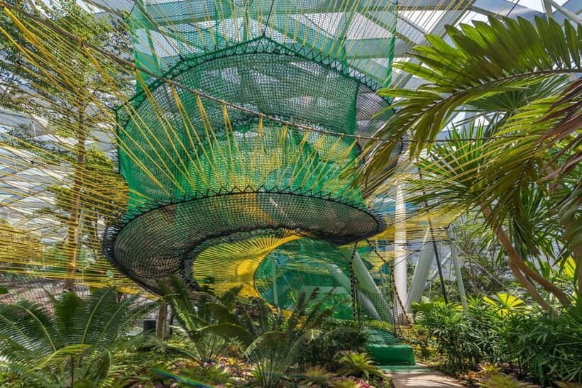Singapore: Jewel Changi Airport Attraction Ticket - The Hedge Maze: A Real Challenge With View Rewards