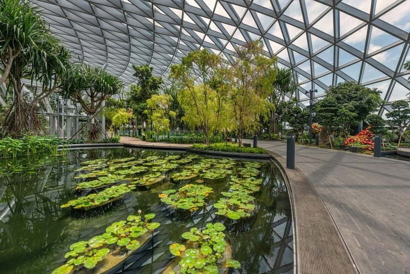 Singapore: Jewel Changi Airport Attraction Ticket - Price ($6): Why It’s Such a Good Value for a Multi-Stop Day