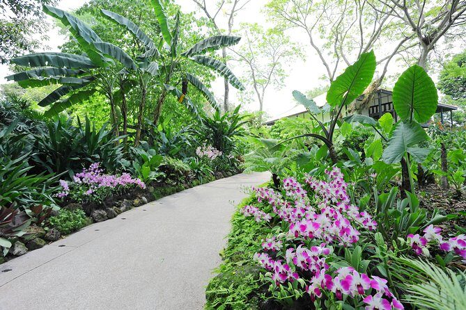 Singapore Morning City Tour - Getting the most out of it: small things that matter in Singapore
