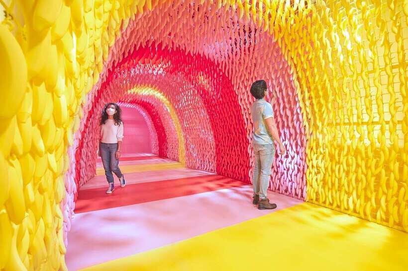 Singapore: Museum of Ice Cream Entrance Ticket - Sprinkle Pool and Unicorn Playground: The Photo-Play You’ll Actually Remember