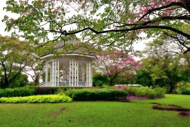 Singapore: National Orchid Garden Admission Ticket - Key things I’d plan around