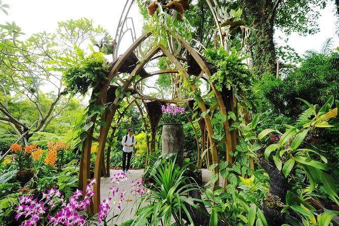 Singapore: National Orchid Garden Admission Ticket - National Orchid Garden ticket value: why $7.77 makes sense