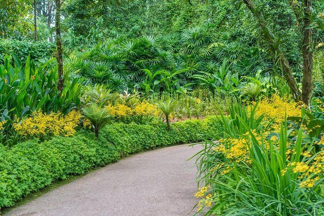 Singapore: National Orchid Garden Admission Ticket - Should you book the National Orchid Garden admission?