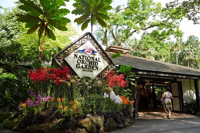 Singapore: National Orchid Garden Admission Ticket - What you’ll see at the National Orchid Garden (and why it feels special)