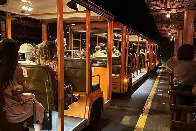 Singapore Night Safari - A Real Nocturnal Zoo: What Changes After Dark