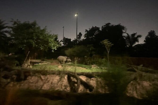 Singapore Night Safari - Food, Comfort, and After-Dark Practicalities