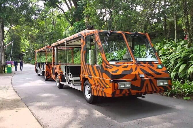 Singapore Night Safari - Price and Value: Is $52.52 Worth It?