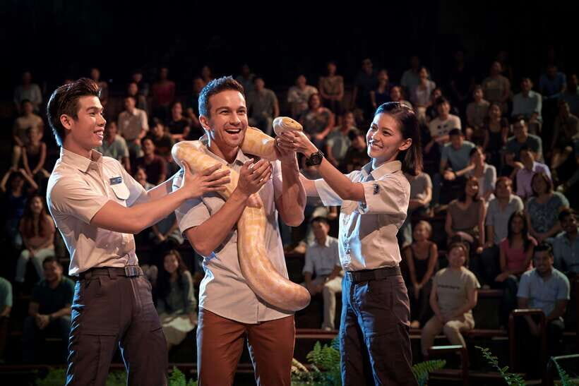 Singapore: Night Safari Singapore Entry Ticket + Tram Ride - When timing feels confusing: plan like you’re flexible