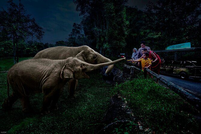 Singapore Night Safari Ticket Experience - Key highlights you’ll feel the moment you arrive
