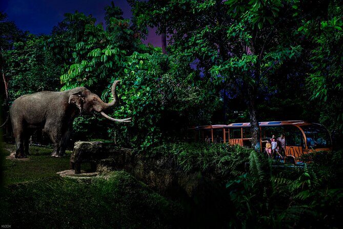 Singapore Night Safari Ticket Experience - The Leopard Trail and glass observatory: the close-up moment