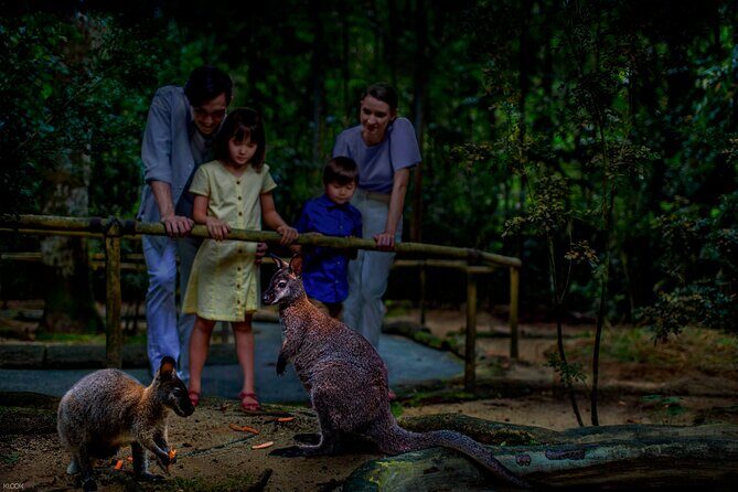 Singapore Night Safari Ticket Experience - Outback wildlife stop: Australia themes without leaving Singapore