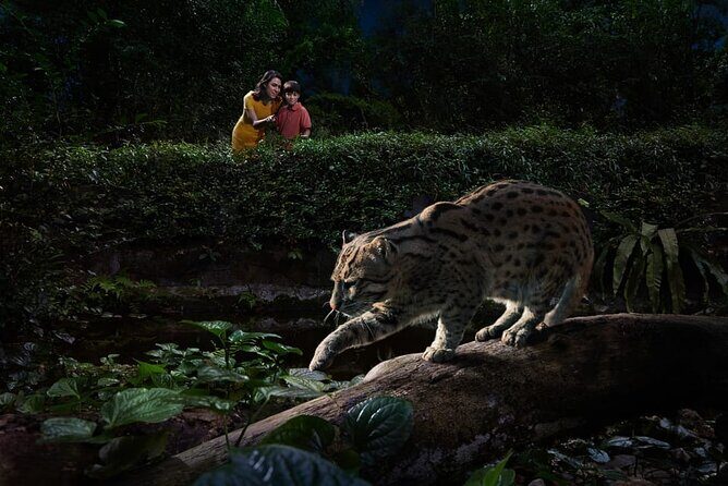 Singapore Night Safari Ticket Experience - Walking trails: Fishing Cat Trail and Forest Giant Trail choices