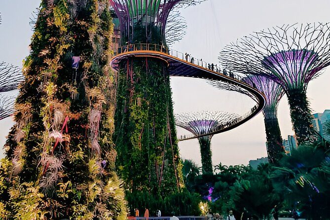 Singapore OCBC Skyway Flower dome Cloud Forest Garden by the Bay - Key things to know before you go