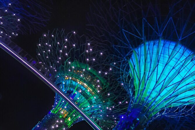 Singapore OCBC Skyway Flower dome Cloud Forest Garden by the Bay - Gardens by the Bay in One Long Day: What This Ticket Bundle Really Does