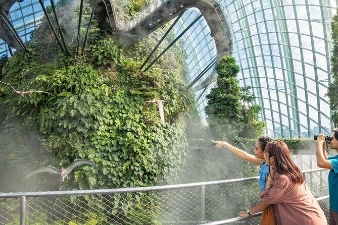 Singapore OCBC Skyway Flower dome Cloud Forest Garden by the Bay - Garden Rhapsody at Supertree Grove: How to Time Your Evening