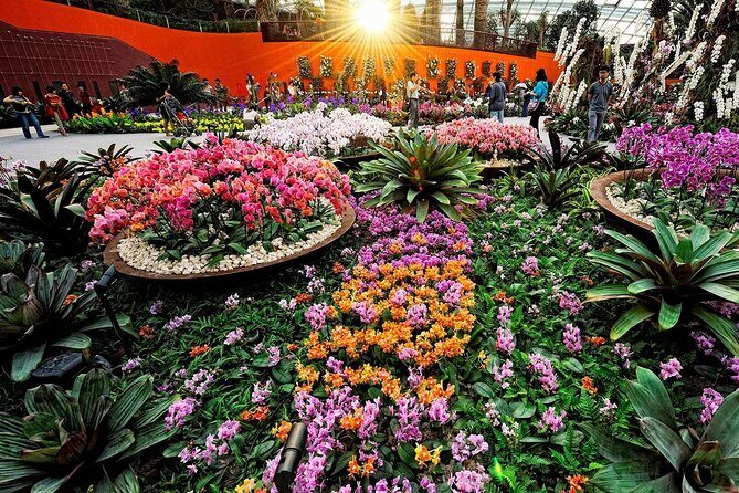 Singapore OCBC Skyway Flower dome Cloud Forest Garden by the Bay - Floral Fantasy Add-On: Worth It If You Want One More Indoor Wow