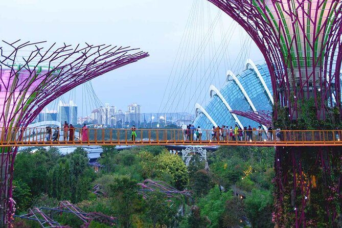 Singapore OCBC Skyway Flower dome Cloud Forest Garden by the Bay - OCBC Skyway: 128 Meters of Supertree Views at 22 Meters Up