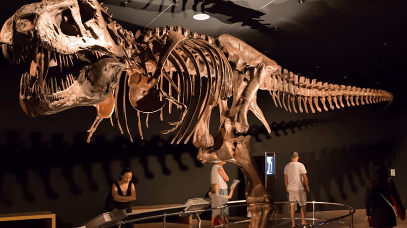 Singapore: Omni Theatre IMAX Show Admission Ticket - Picking your show: dinosaurs, Antarctica, space history, or the Pacific